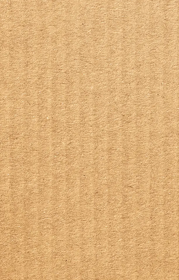 main-texture-rp main-texture